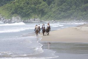 Actividad - Paseo a caballo