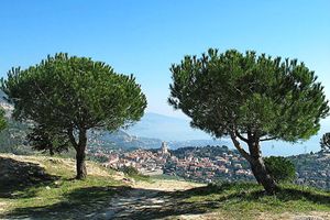 Alojamiento - Napoléon