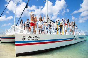 Actividad - Explora El Cielo con esnórquel en Palancar y fiesta privada en la playa - Tour de medio día