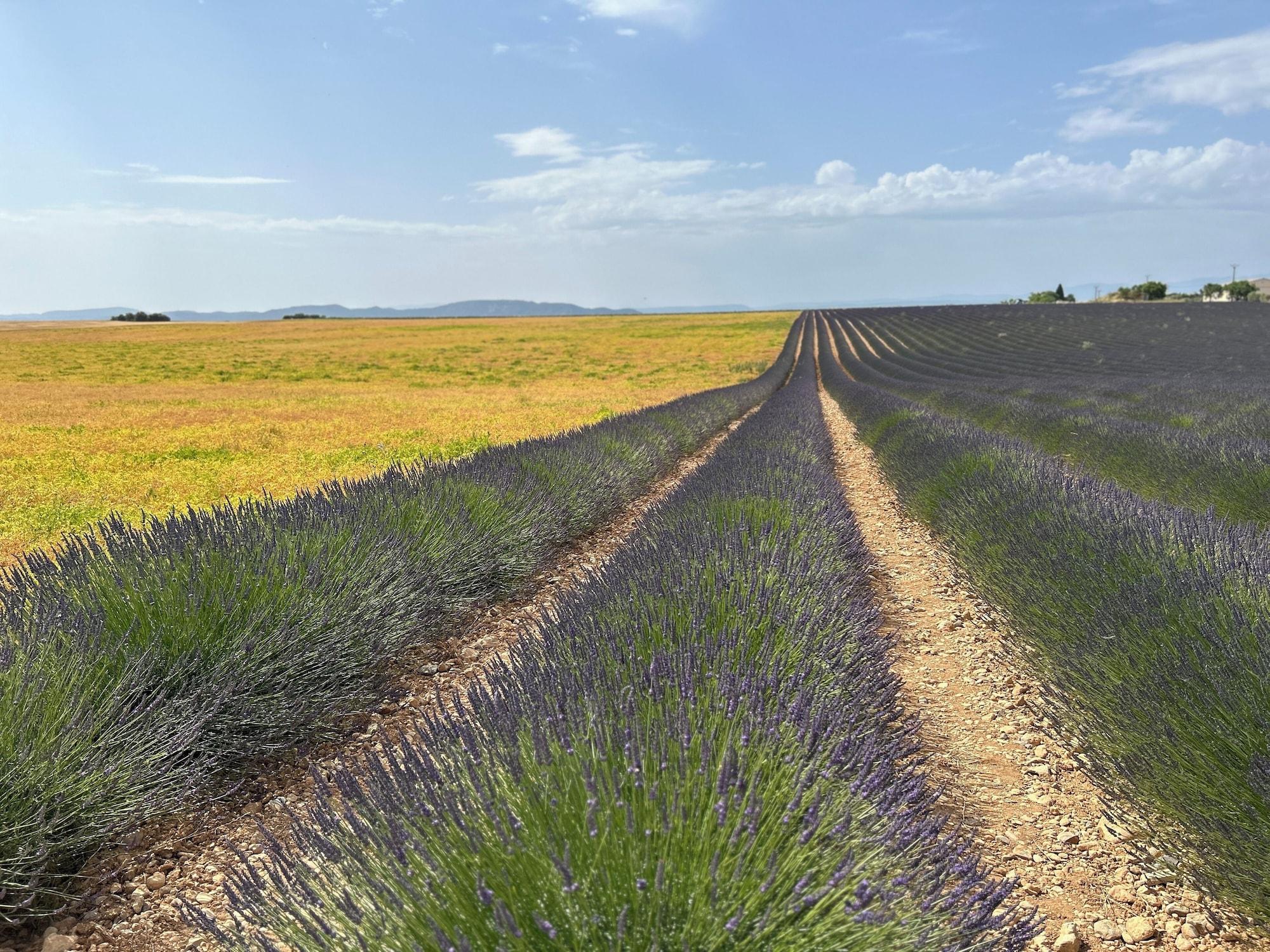 Vista Exterior Clos des Cassis