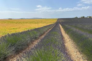 Alojamiento - Clos des Cassis