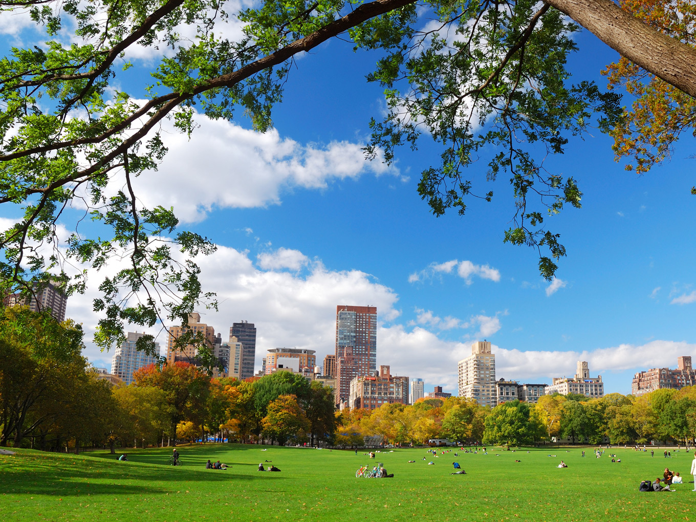 Nueva York