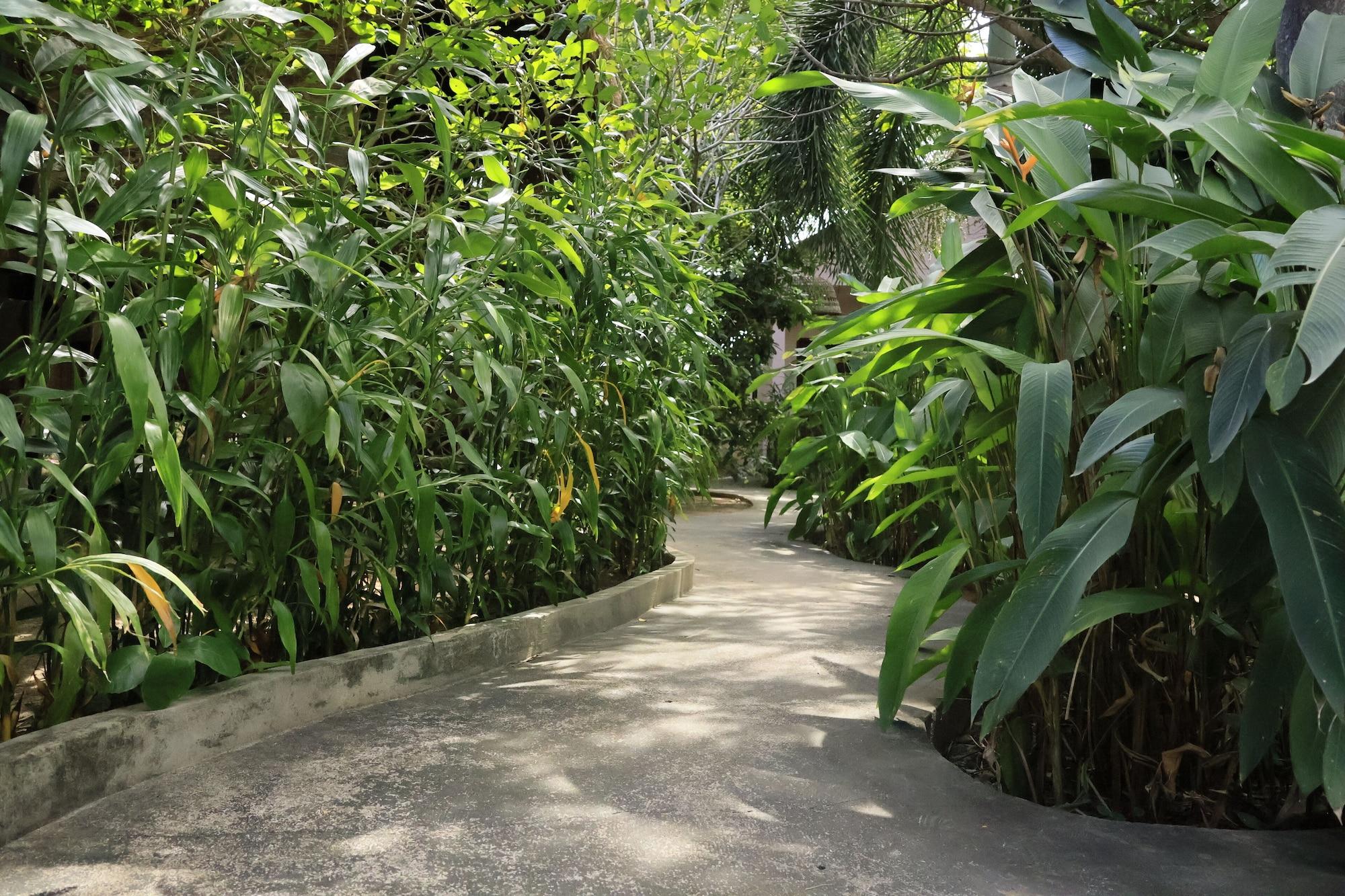 Comodidades del Alojamiento Bird of Paradise Bungalows