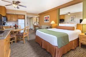 Alquiler Vacacional - Cozy studio in beautiful Palm Springs. Perfect for Coachella weekend!