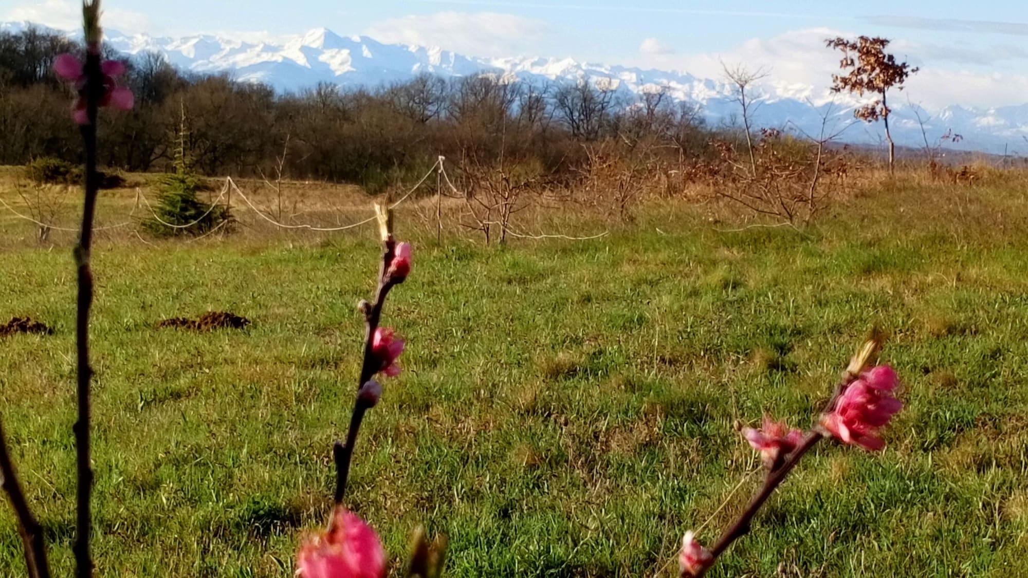 Instalaciones Recreativas Chambres d'Hôtes Clos du Gaja