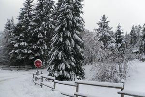 Alquiler Vacacional - Large Cozy Apartment, Esprit Chalet in the heart of Font Romeu. WIRELESS.