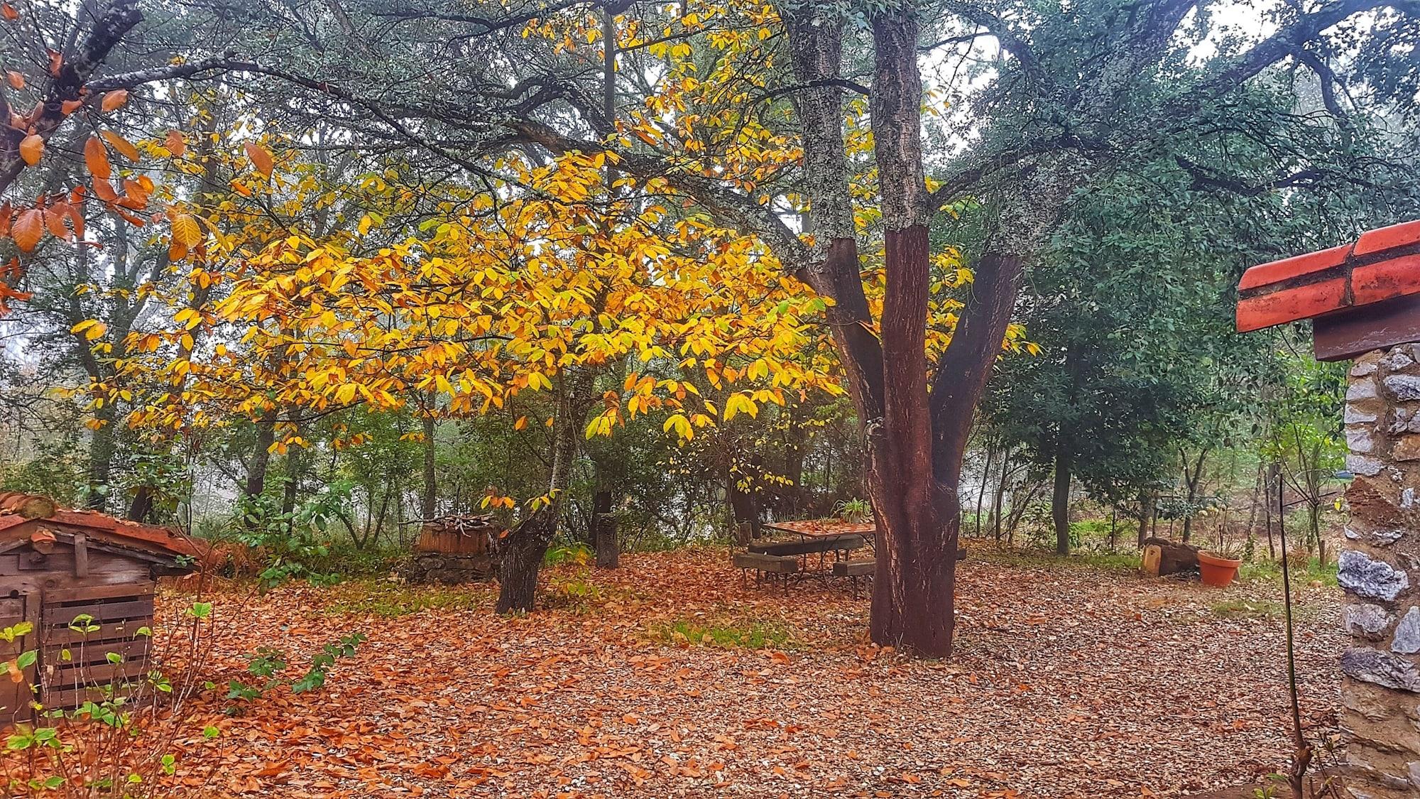 Comodidades del Alojamiento Finca La Viriñuela