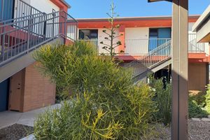 Alojamiento - Hotel Lindo