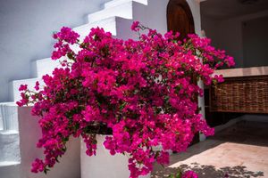 Alojamiento - Aguamarina Hotel Boutique - Adults Only