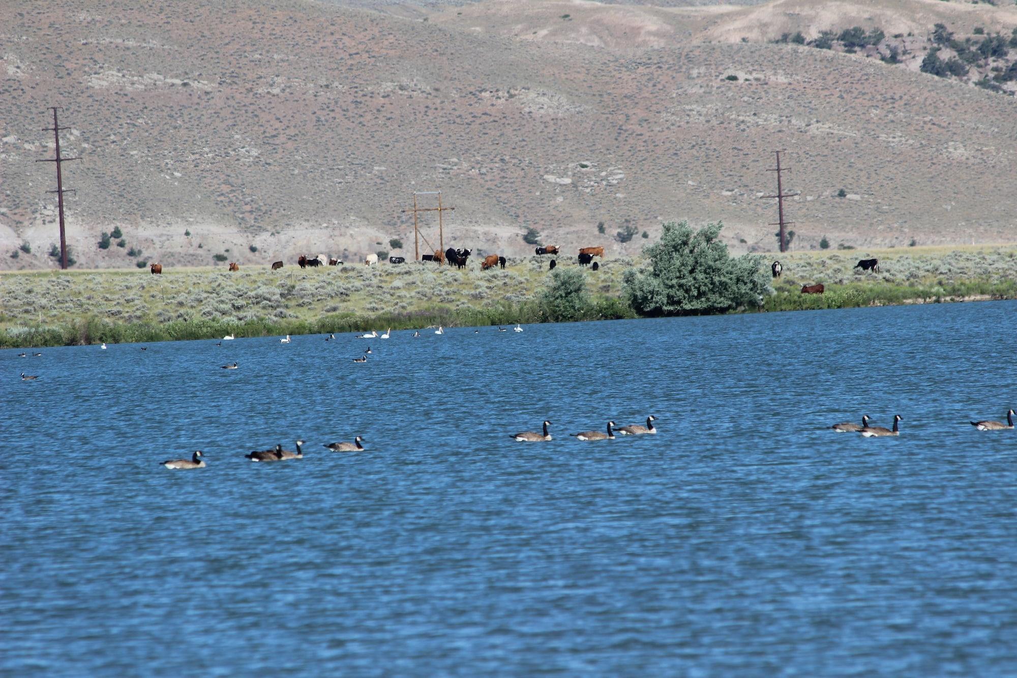 Playa Monster Lake Ranch
