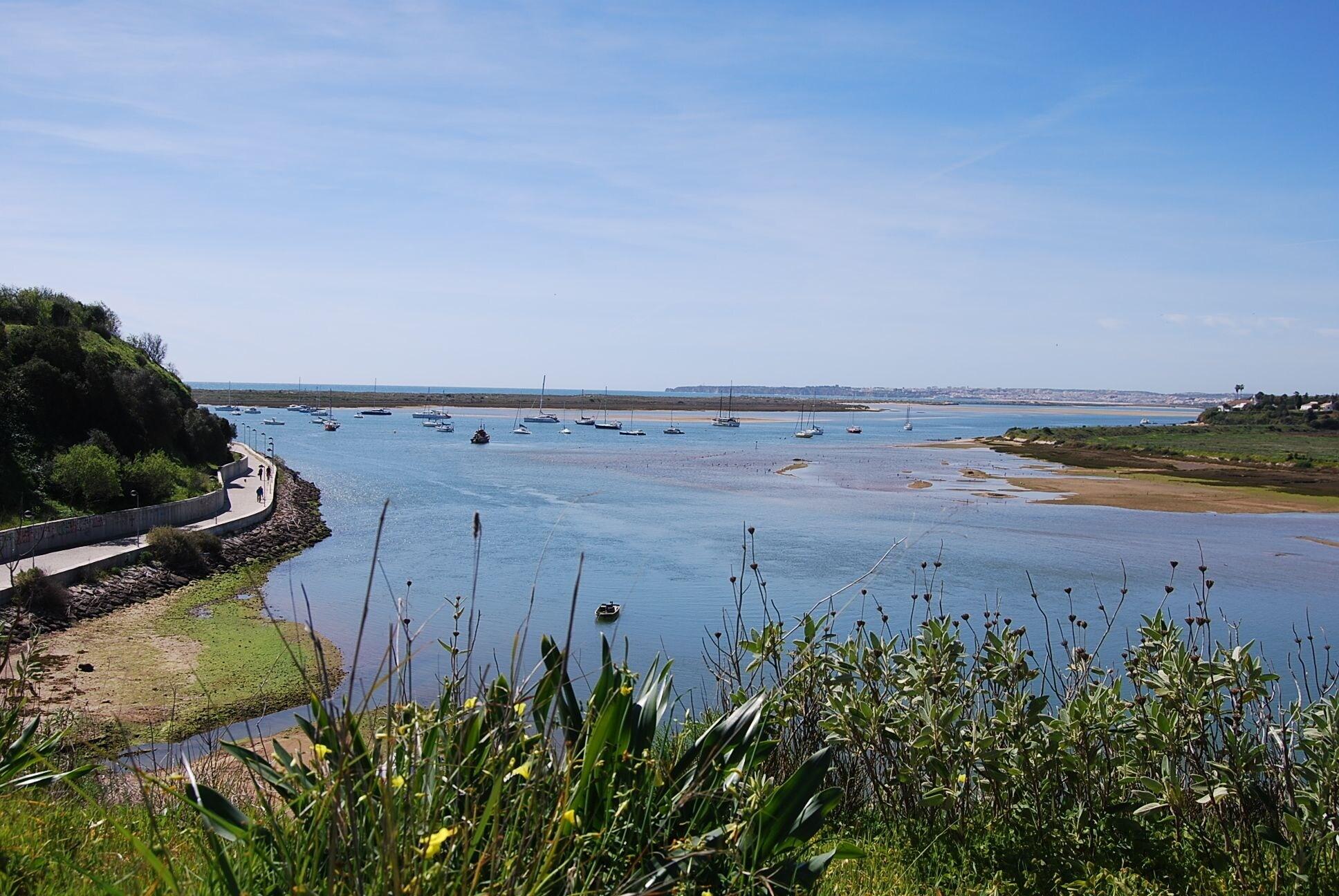 Playa The Birds Nest Luxury B&B