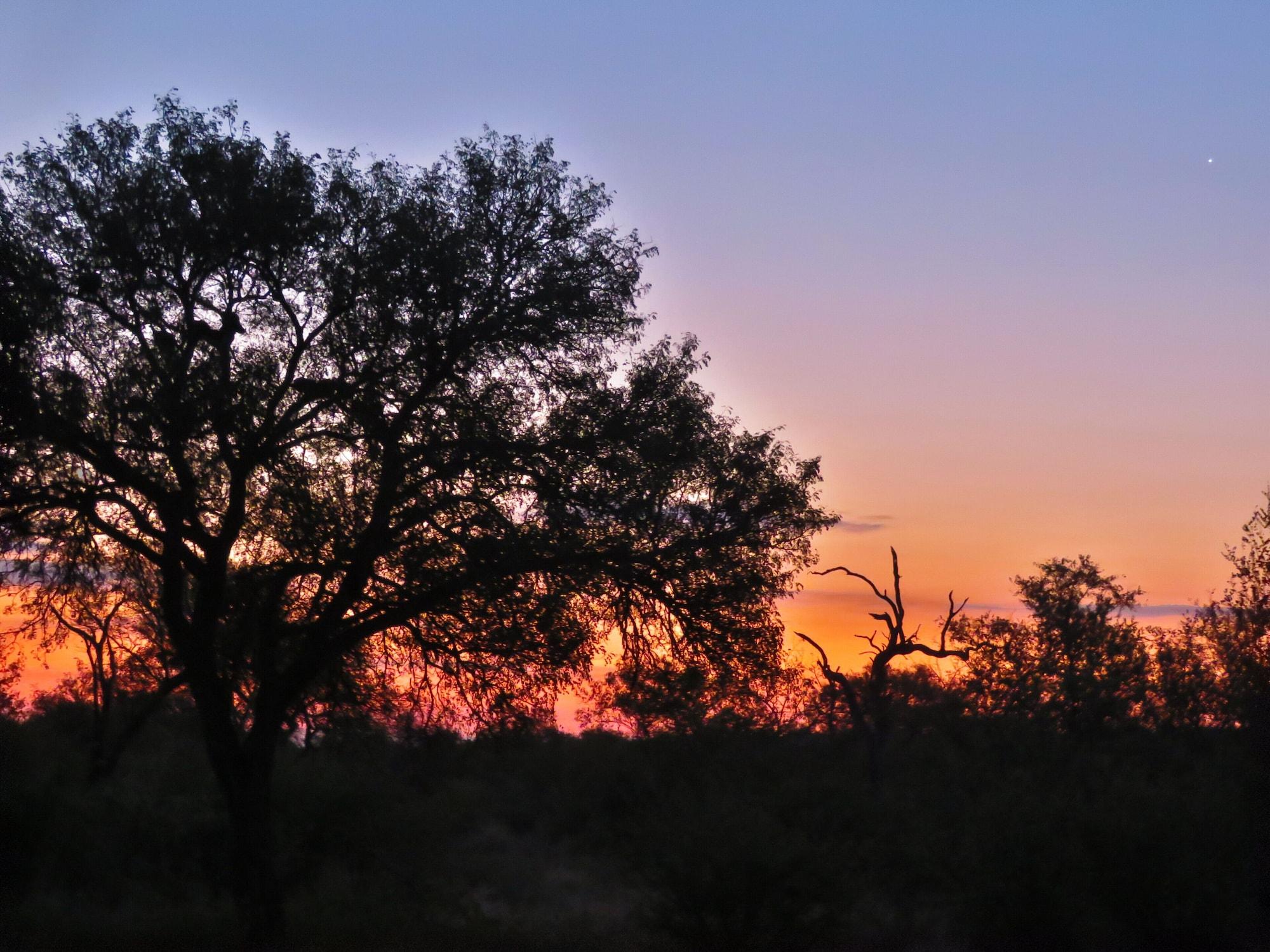 Vista Exterior Wild Dog Guest Lodge