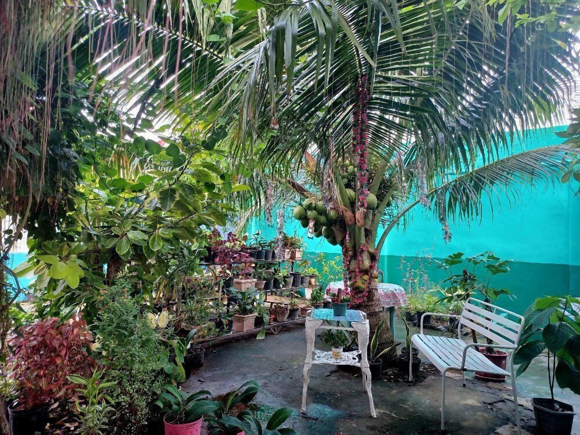 Vista Exterior Pete's Inn