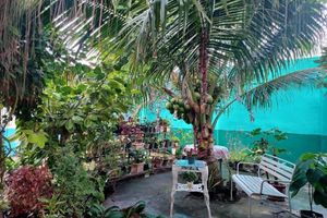 Alojamiento - Pete's Inn