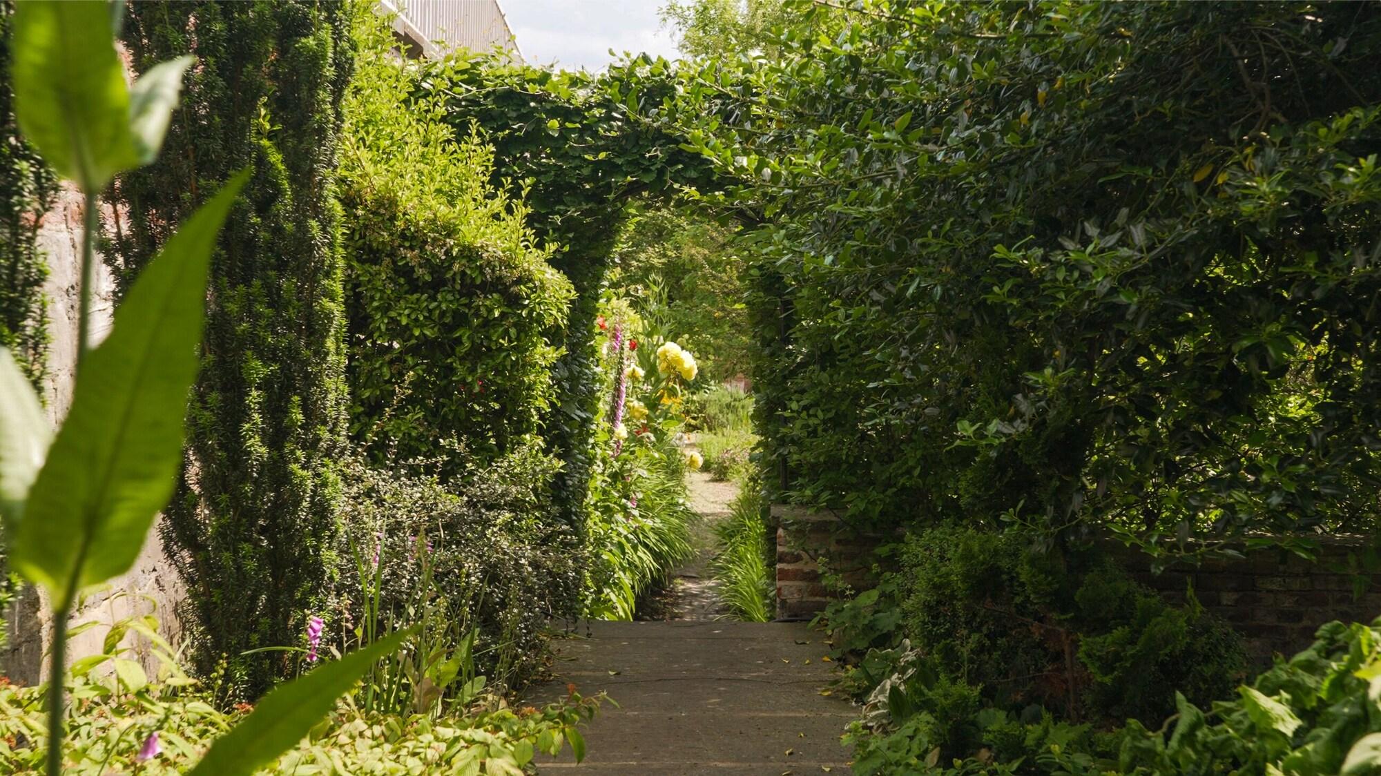 Varios Grays Court