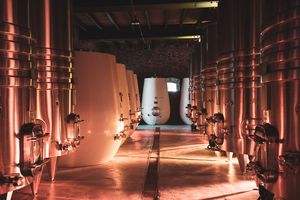 Actividad - Day Tour Bodega Los Cerros de San Juan