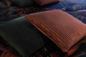 Alquiler Vacacional - Bazien Luxe Kamer bij Strand en Kreek Natuur en Veel Faciliteiten