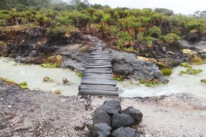 Actividad - Parque Nacional Puracé