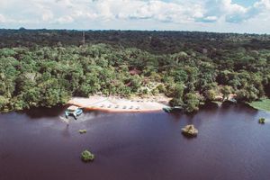Alojamiento - Amazon Ecopark Jungle Lodge
