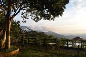 Alojamiento - Finca San Antonio
