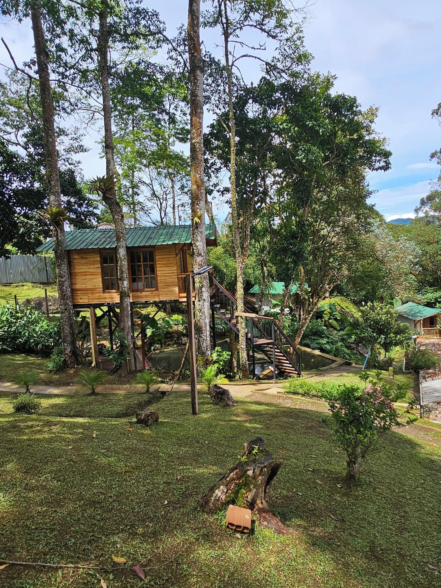 Varios La Mercedes Cattaleya Hostal By MH