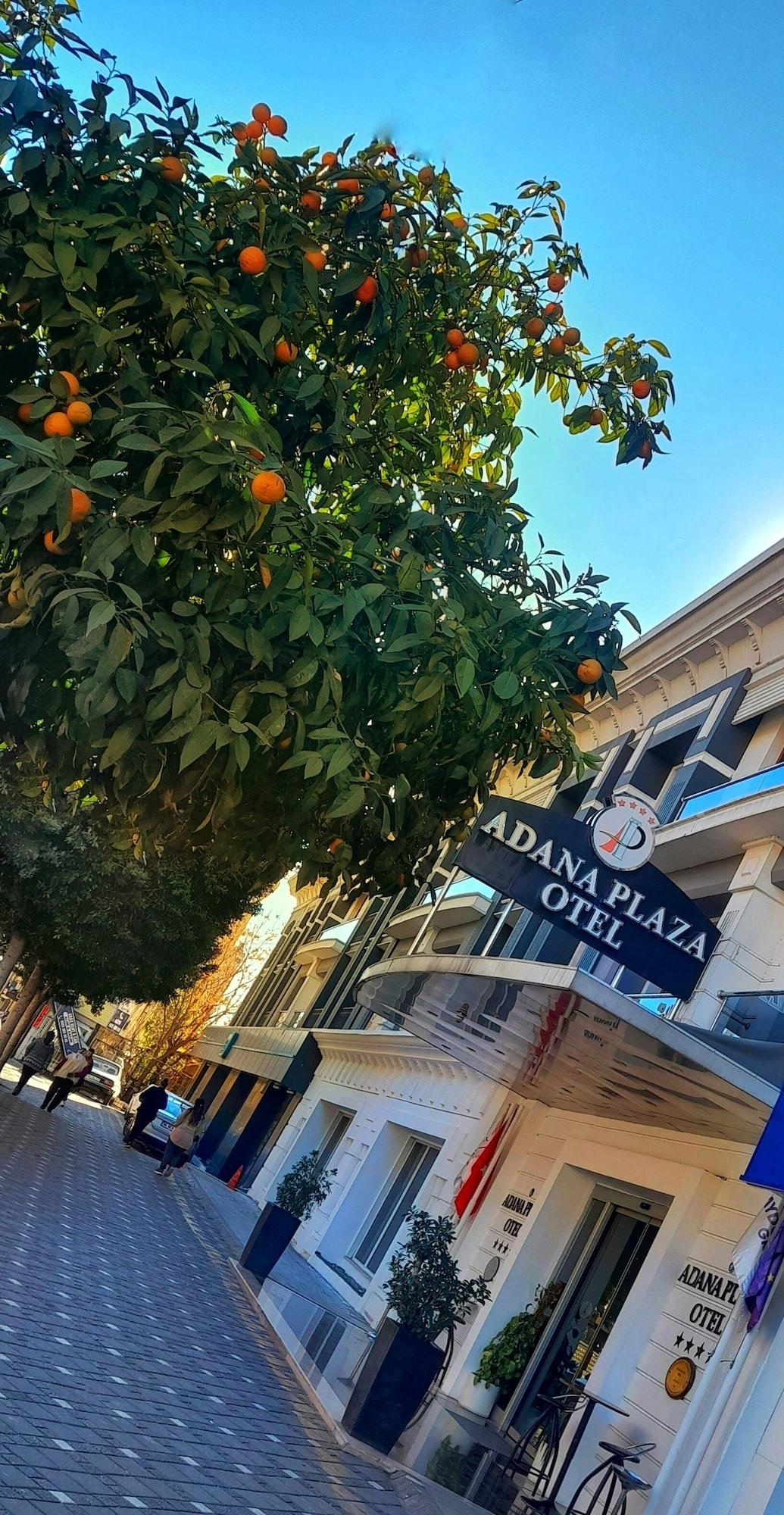 Varios Adana Plaza Otel