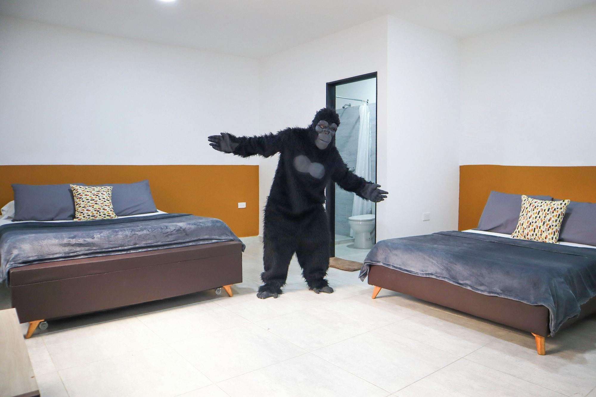 Habitación Trip Monkey Origen