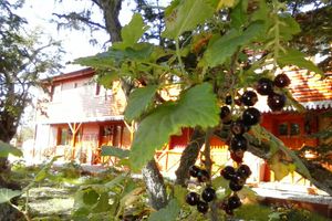 Alquiler Vacacional - Cabañas Altos de Tolhuin