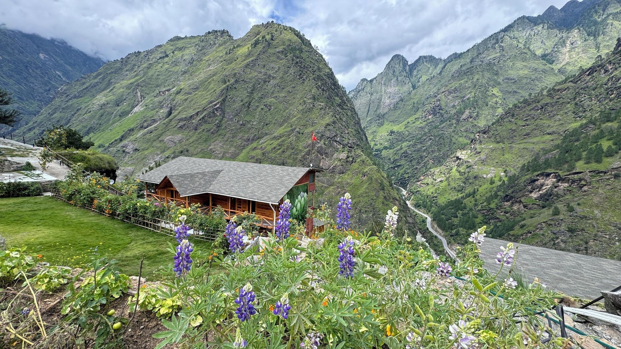 Vista Exterior Blue Poppy Premier