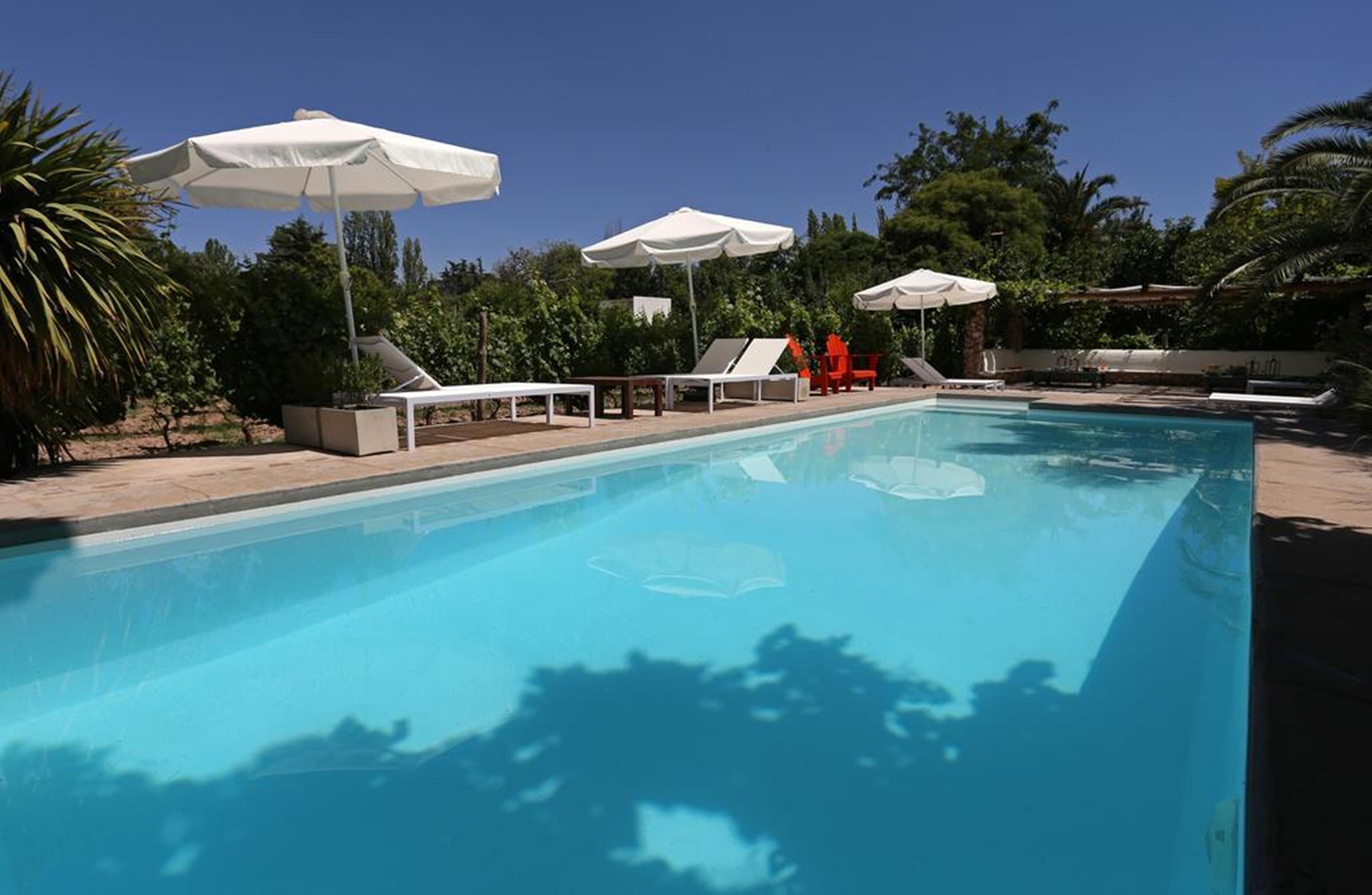 Playa Finca Adalgisa Wine Hotel, Vineyard and Winery