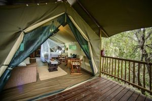 Arriendo temporal - Shalati Kruger Lodge