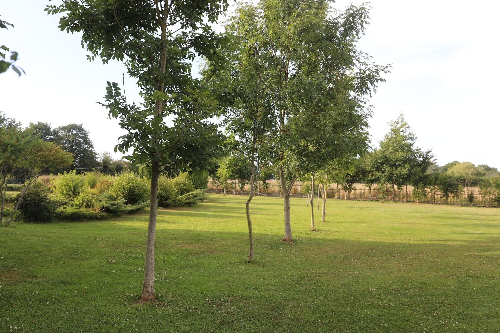 Comodidades del Alojamiento Chambre d'hôtes Mon Taj Mahal