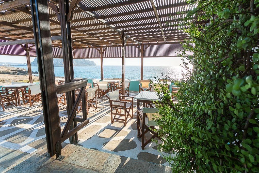 Bar/Salón Alpha Studios