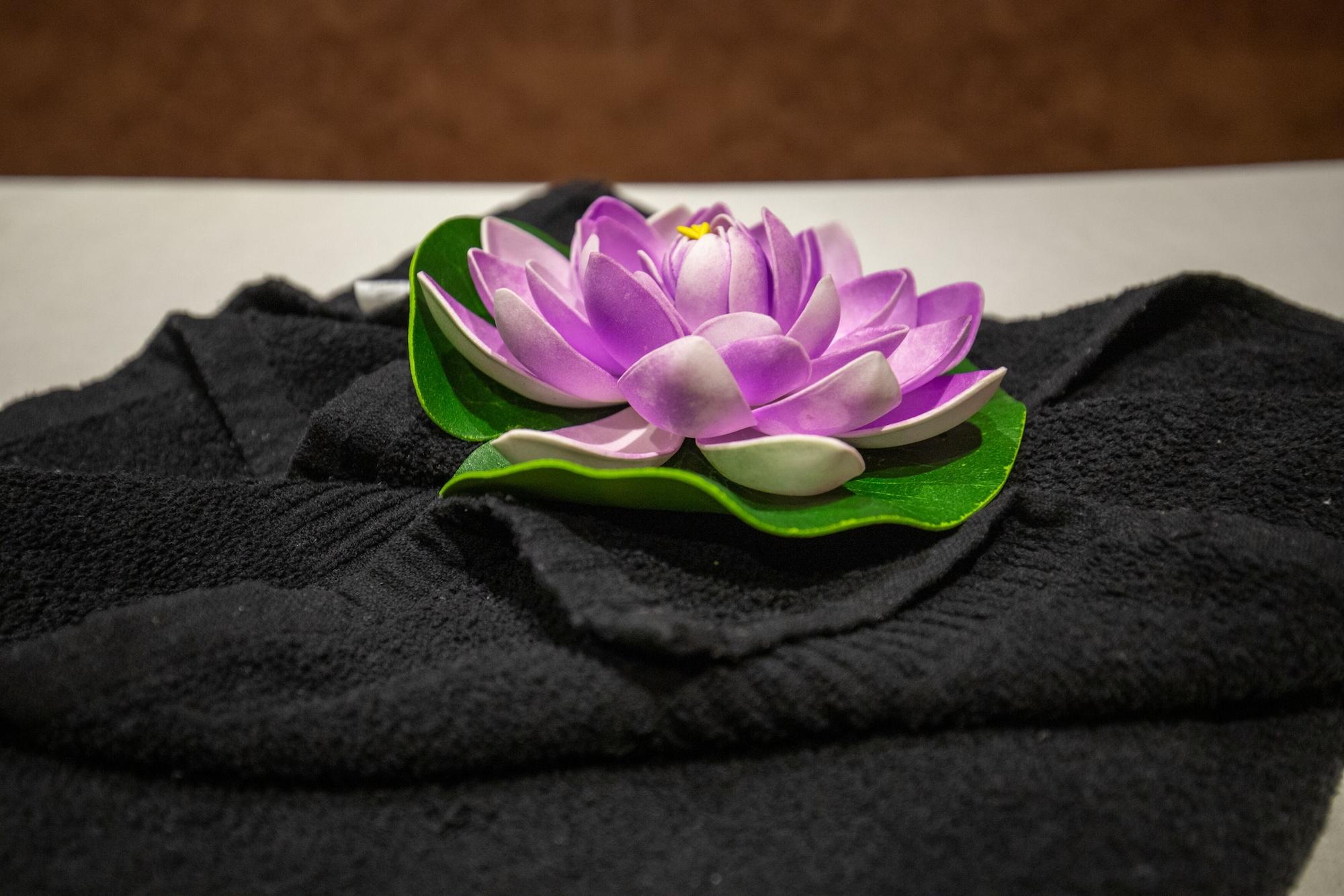 Spa Hotel Nansc Lumbini