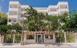 Casa del Árbol Condo
