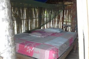 Alojamiento - Cabañas Naranjo Grande