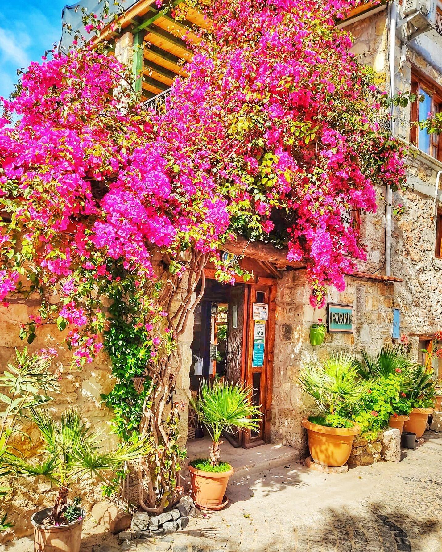 Vista Exterior Parmis Boutique House