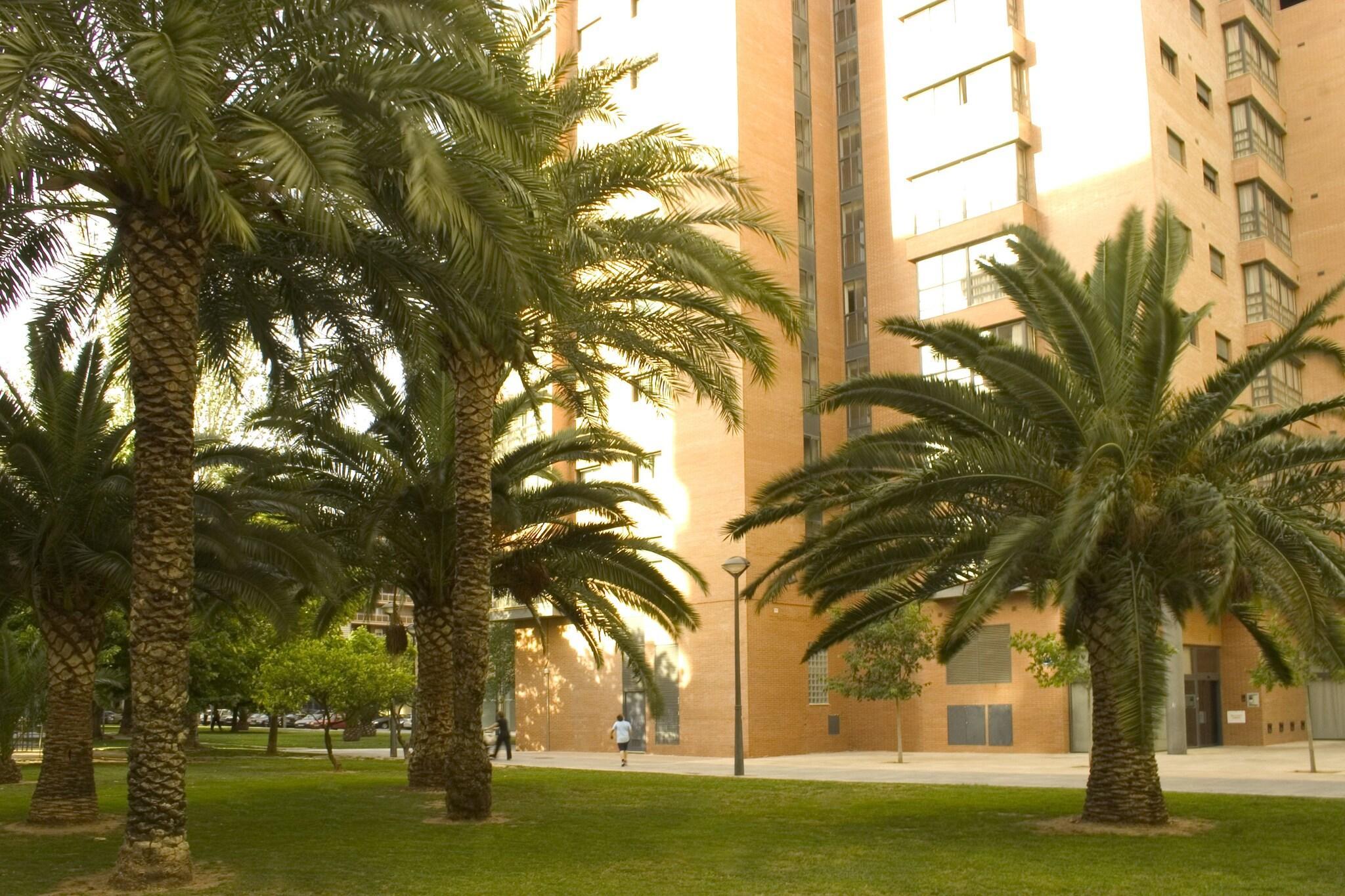 Vista Exterior Apartamentos Plaza Picasso