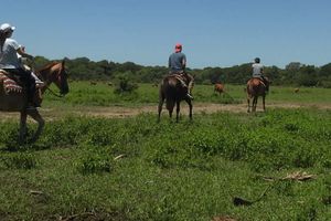 Actividad - Paseo a caballo por la estancia San Rafael