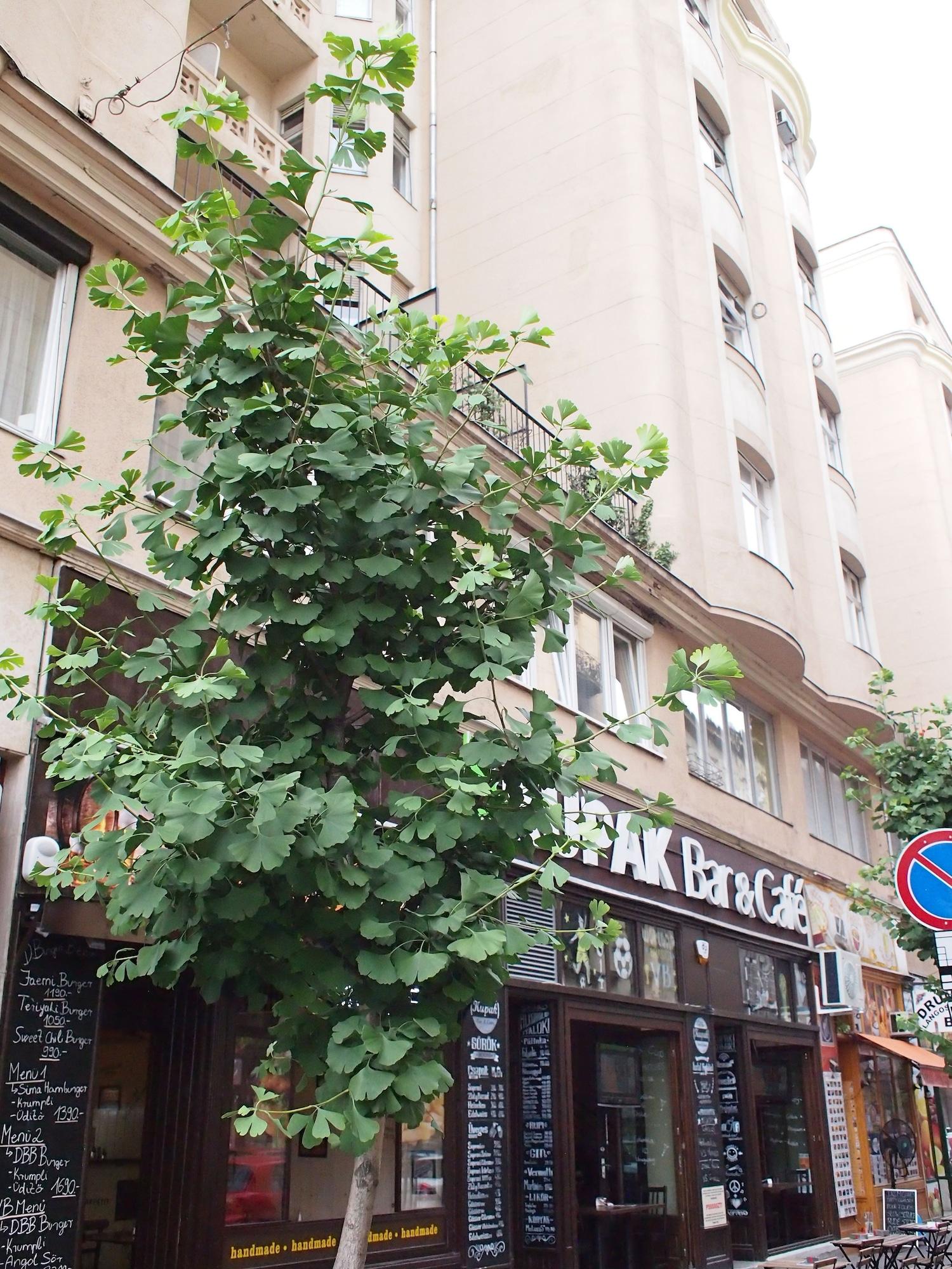 Vista Exterior Budapest Royal Suites II