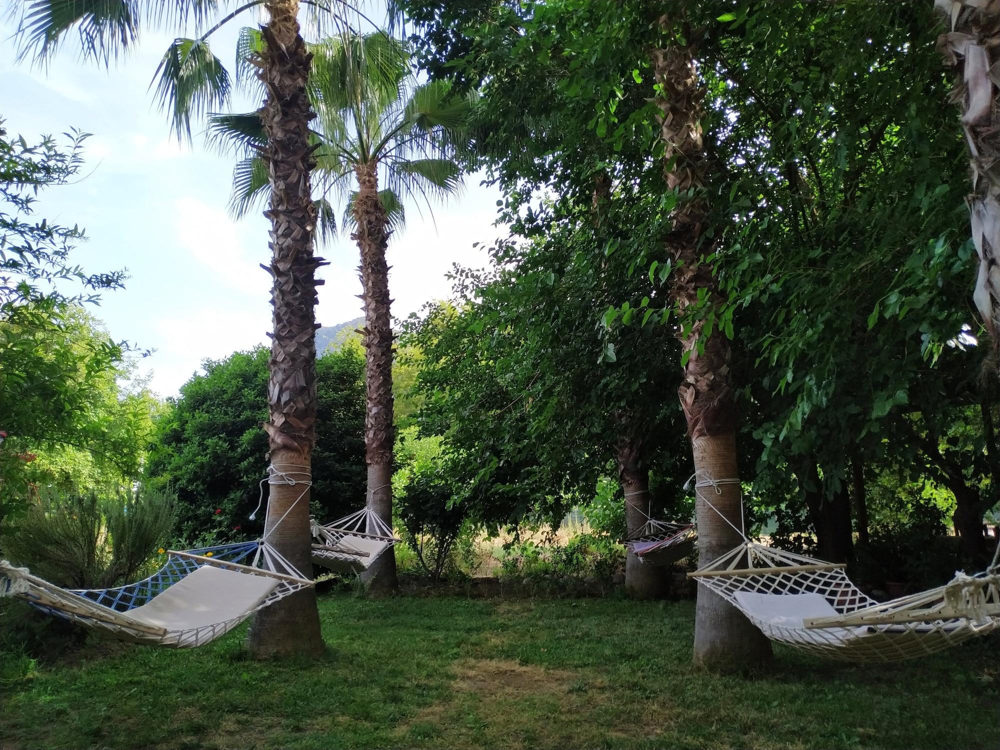 Comodidades del Alojamiento Olympos Yavuz Hotel