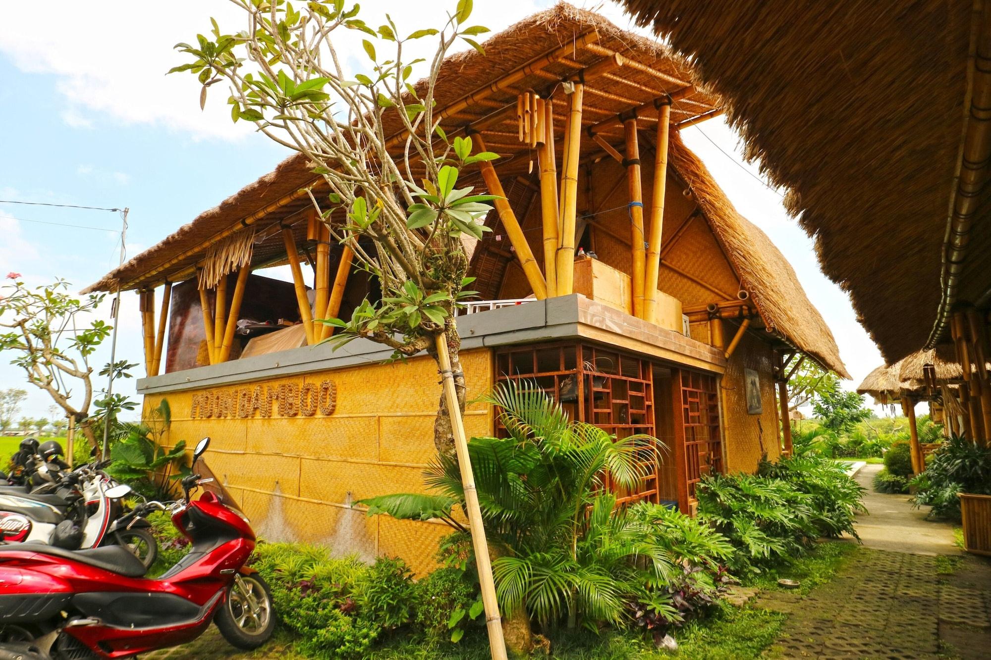 Vista Exterior Moon Bamboo