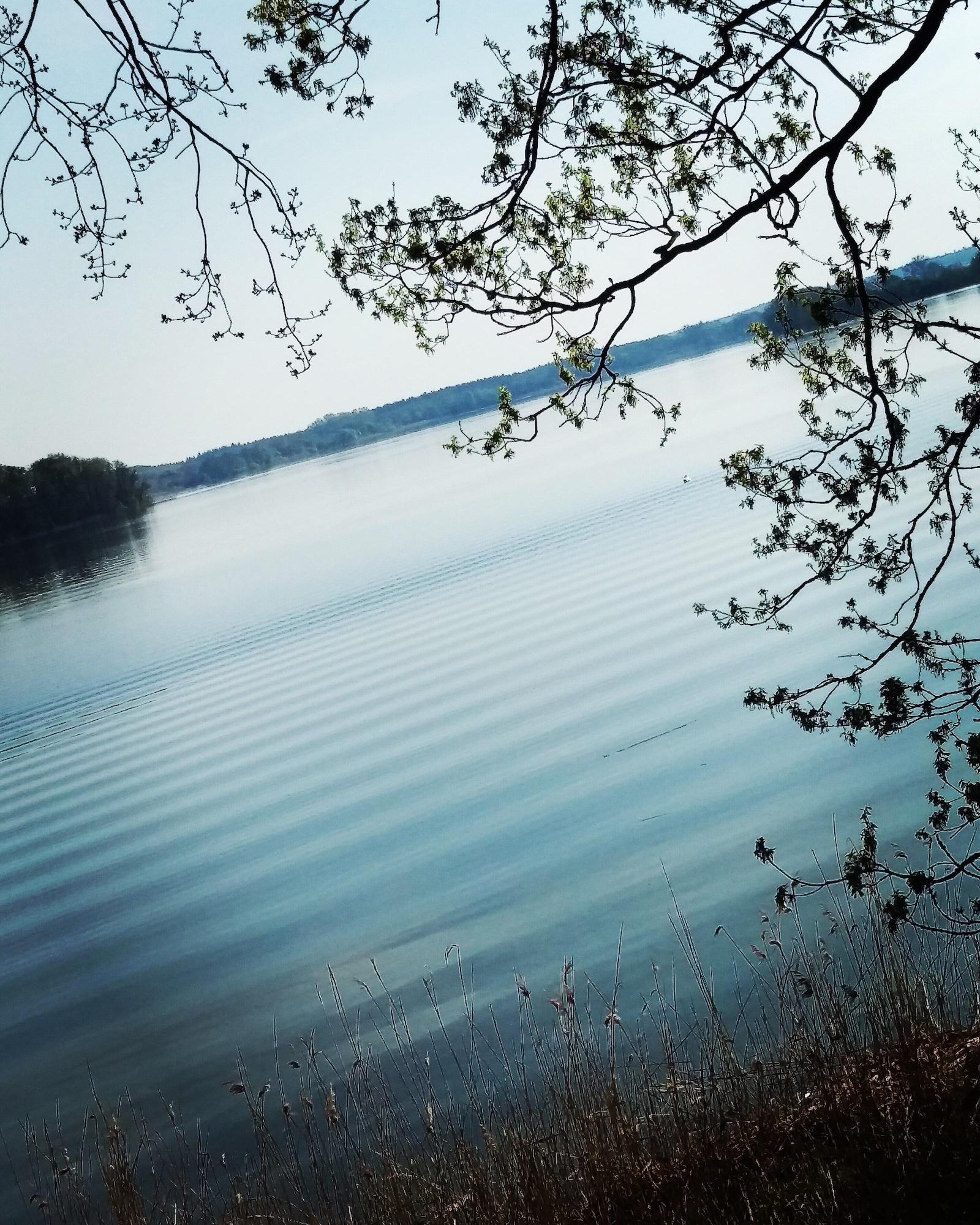 Varios Hotel Nordischer Hof