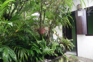 Alojamiento - Pousada Passarte