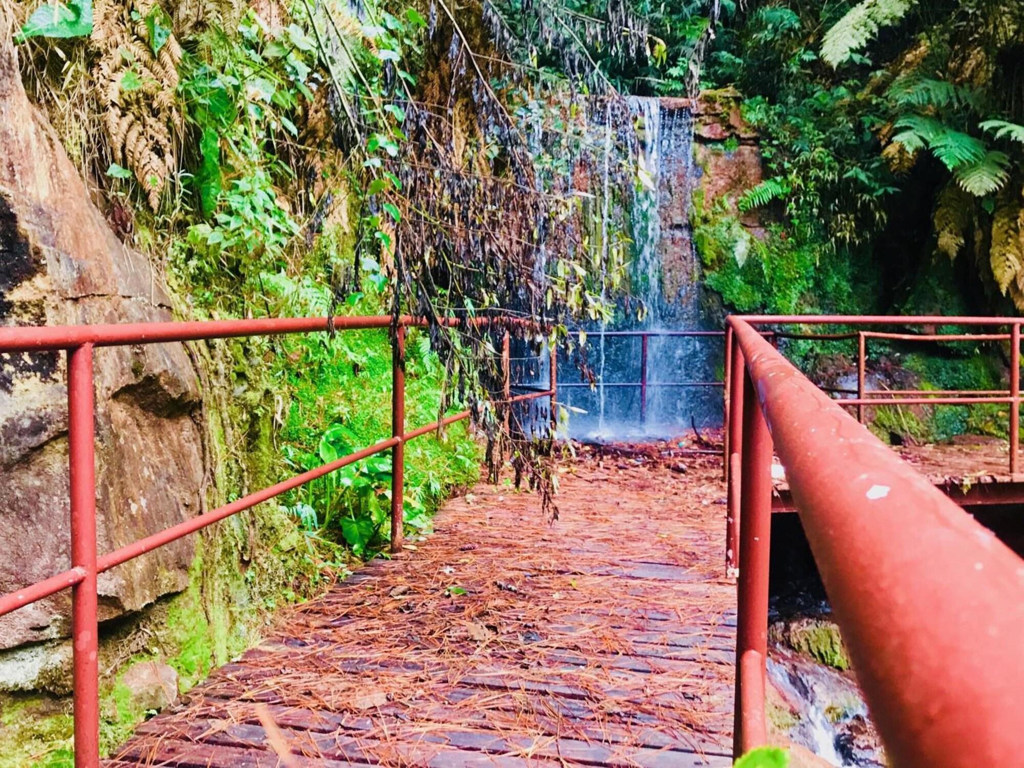 Equipamiento de Habitación Hotel Platanus