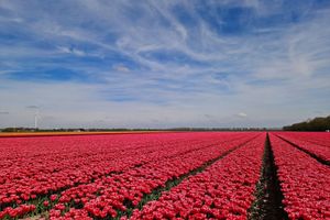 Alquiler Vacacional - Einzigartiges Ländliches Ferienhaus in der Nähe des Wattenmeeres