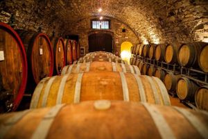 Alojamiento - RED APARTMENT in Poggio alla Cavalla farmhouse in the heart of Tuscany