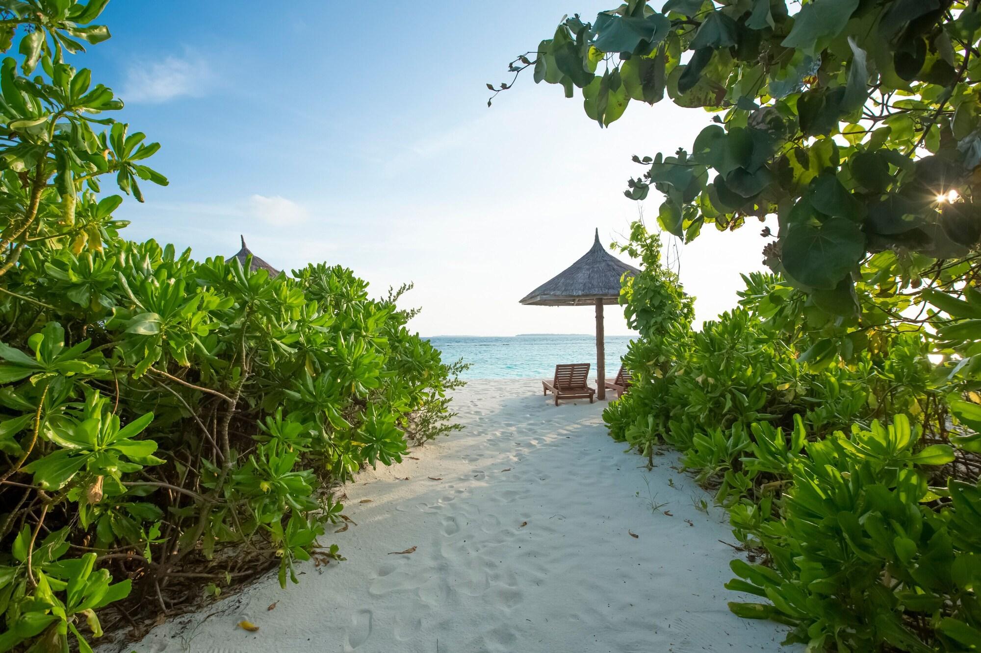 Playa Reethi Faru Resort