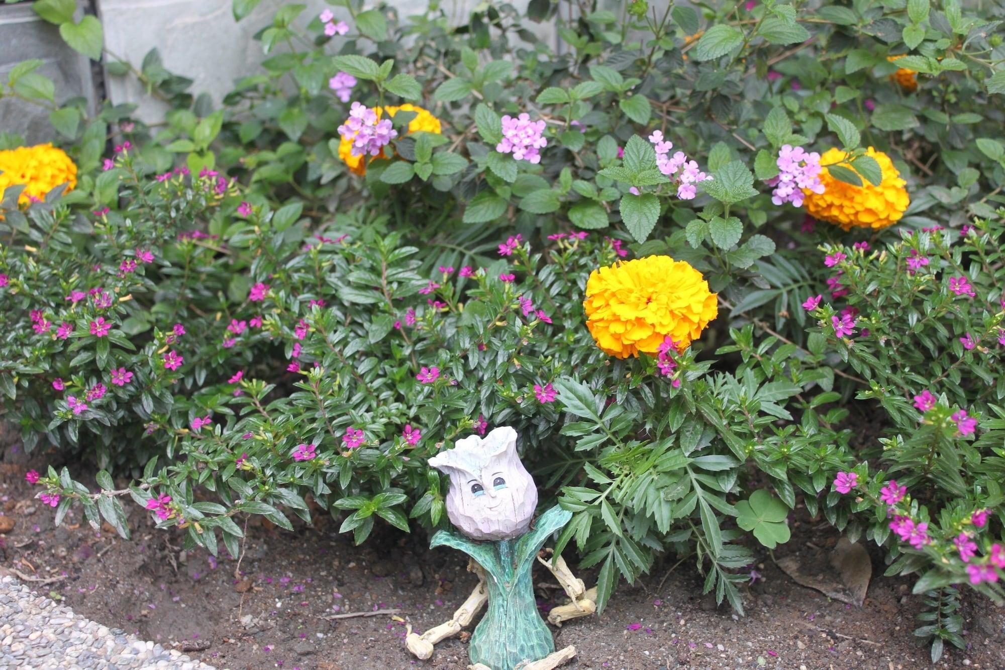 Vista Exterior Hualien Tour B&B