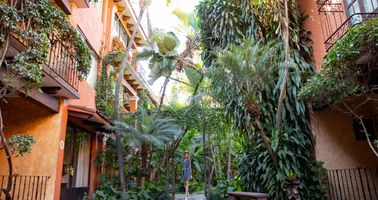 Los mejores hoteles en Cuernavaca - Best Day